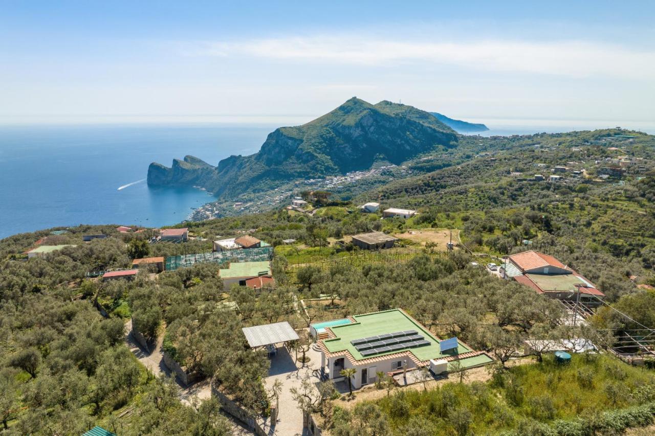 Villa Rusinella Minimalist Retreat With Sea Views Massa Lubrense Exterior foto